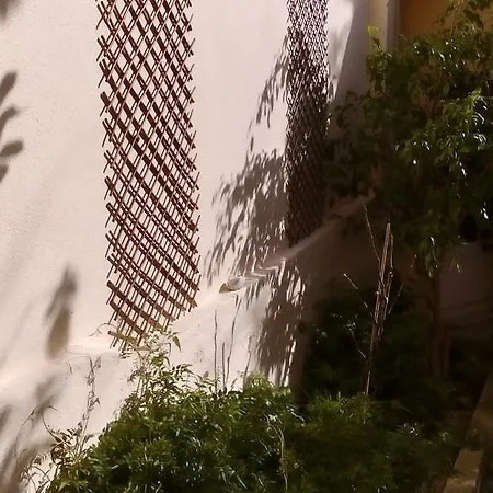 Casa Do Jasmim Privatunterkunft Lissabon
